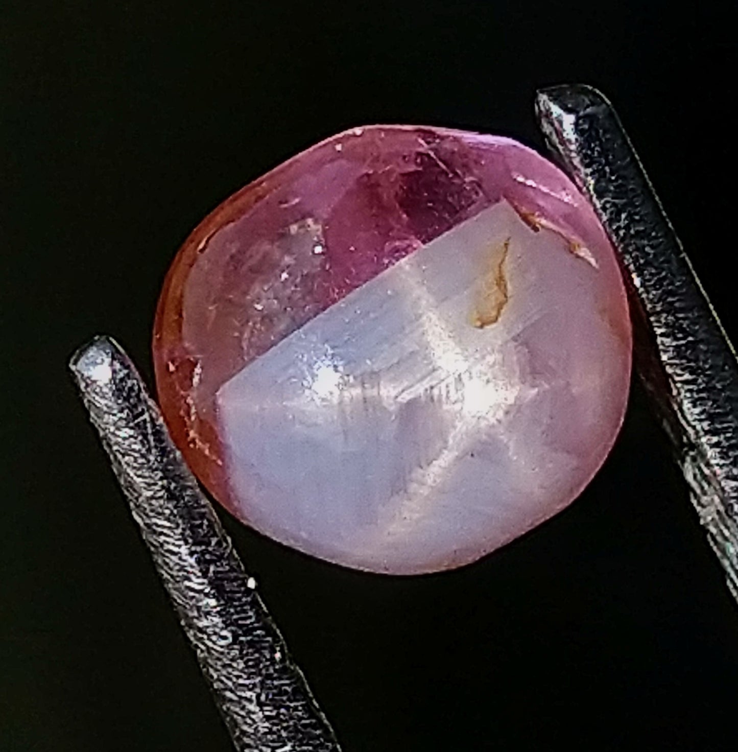 Star Sapphire 1.65ct Bi-Colour Very Rare Stone.