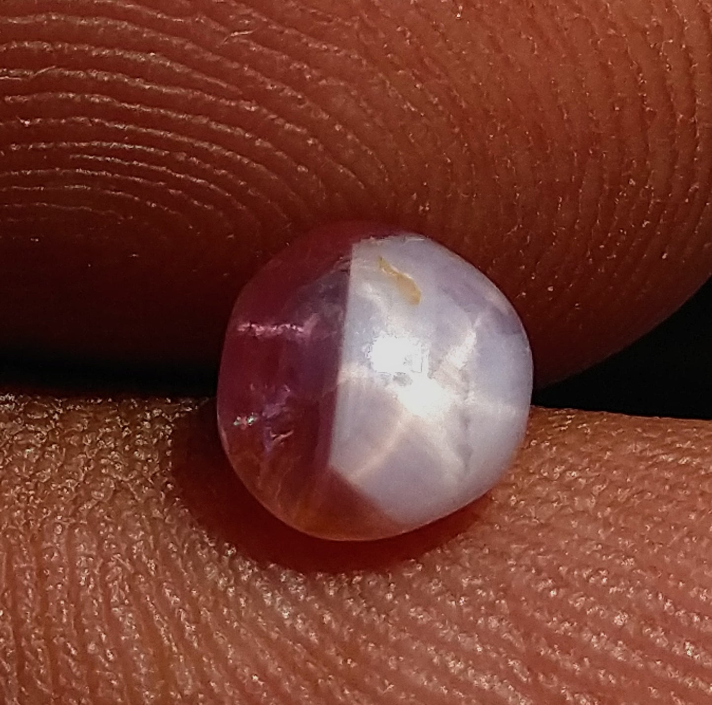 Star Sapphire 1.65ct Bi-Colour Very Rare Stone.