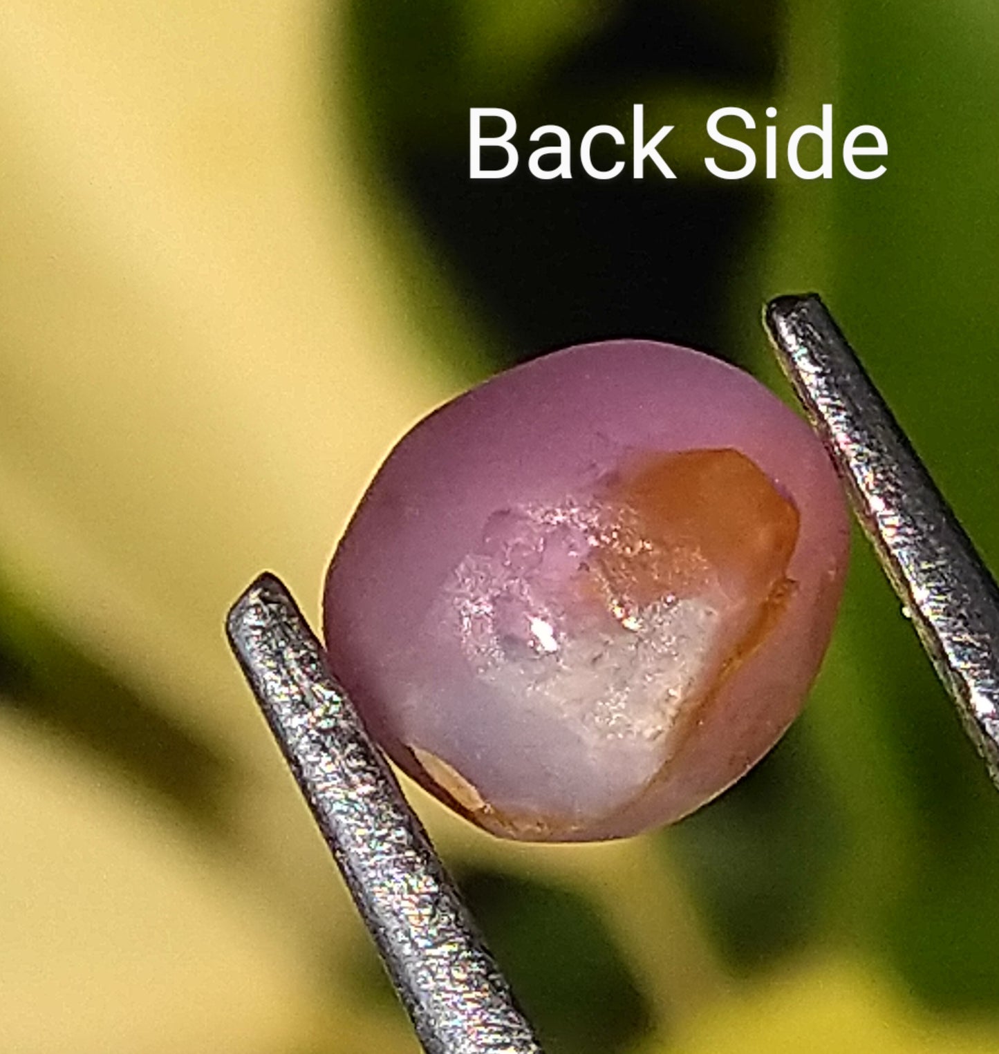 Star Sapphire 1.65ct Bi-Colour Very Rare Stone.