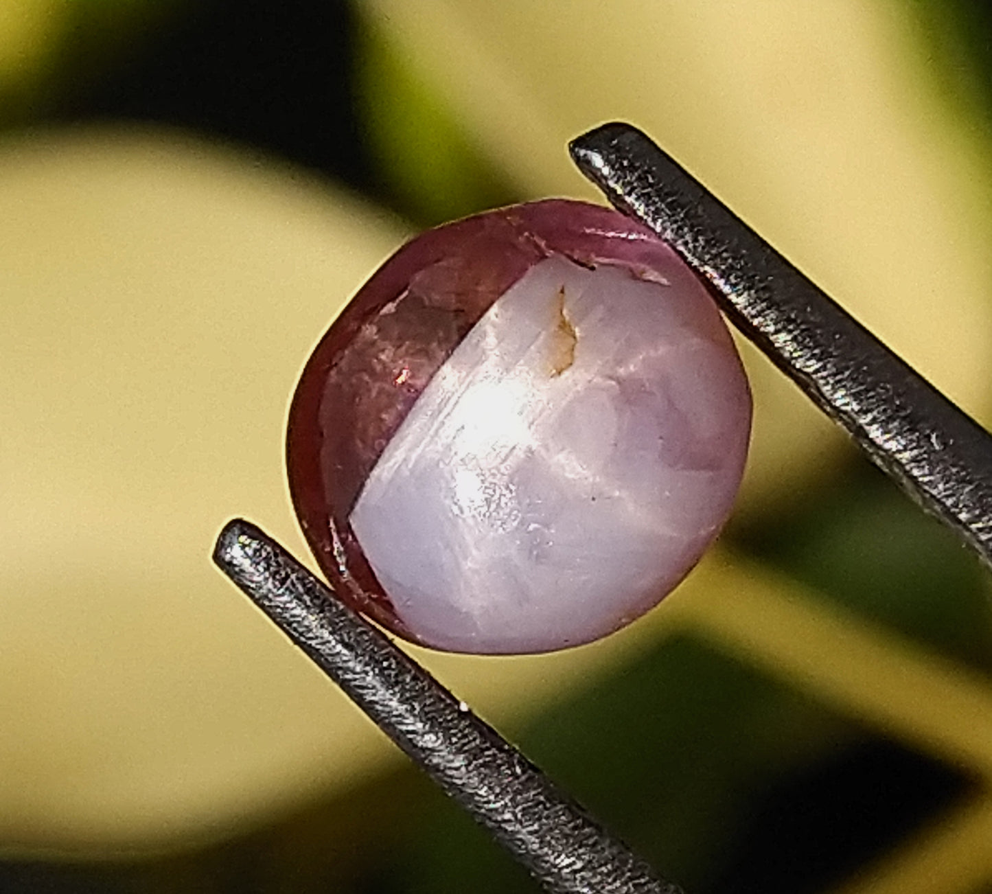 Star Sapphire 1.65ct Bi-Colour Very Rare Stone.