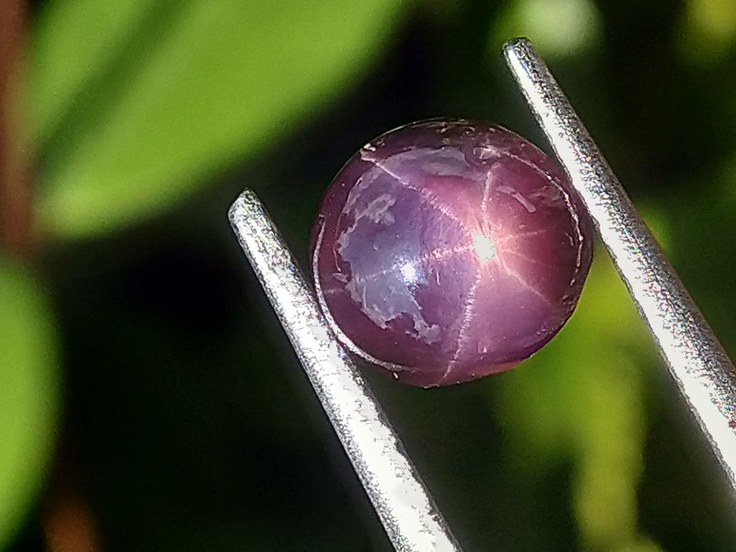 Natural Star Sapphire 1.90ct Rare Colour Stone