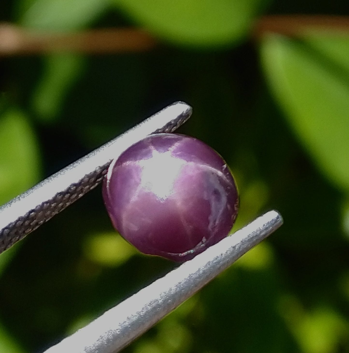 Natural Star Sapphire 1.90ct Rare Colour Stone