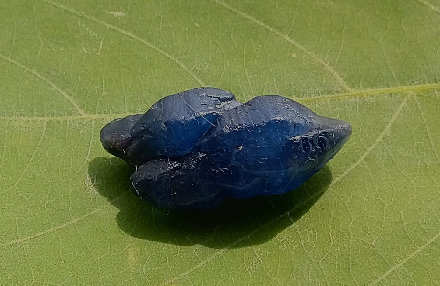 BLUE SAPPHIRE 8.10ct HEATED TWIN STONE