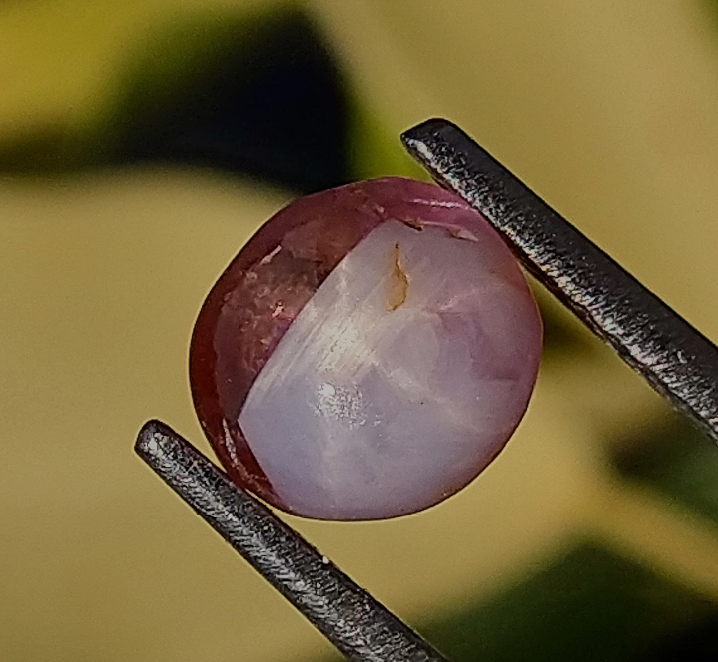 Bi-Colour Star Sapphire 1.65ct Very Rare Stone.