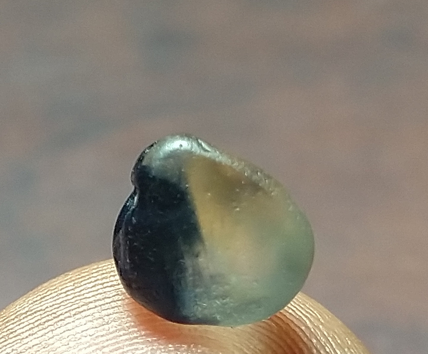 Natural Sapphire 2.55ct Bi-Color Rough Stone.