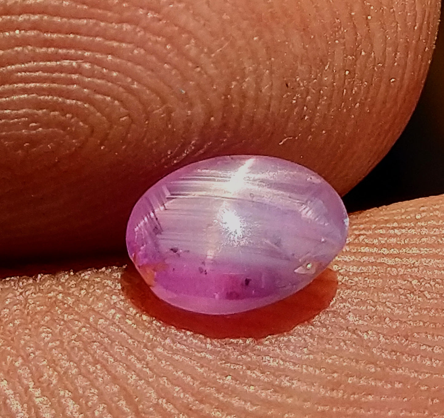 Bi-Colour Star Sapphire 1ct Very Rare Stone