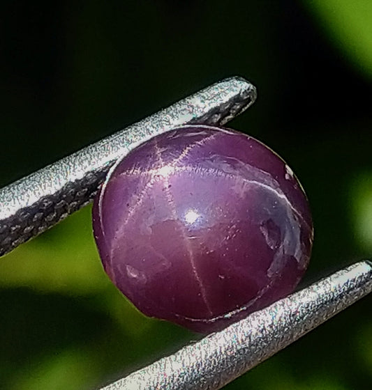 Natural Star Sapphire 1.90ct Rare Colour Stone