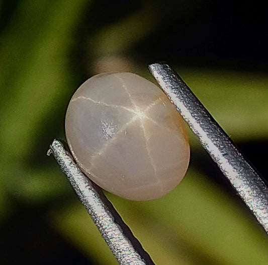 Star Sapphire 1.25ct Natural Stone Sri-Lanka.