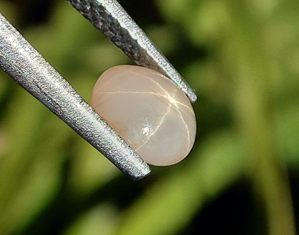 Star Sapphire 1.25ct Natural Stone Sri-Lanka.