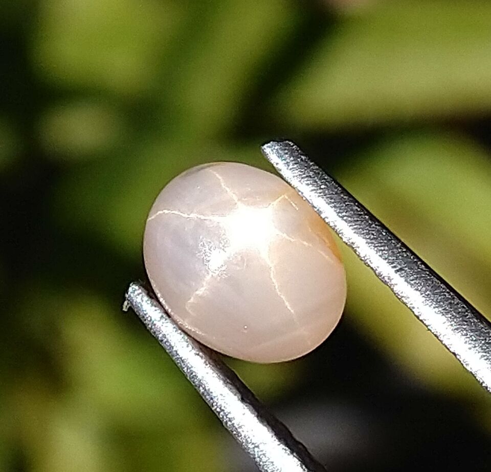 Star Sapphire 1.25ct Natural Stone Sri-Lanka.