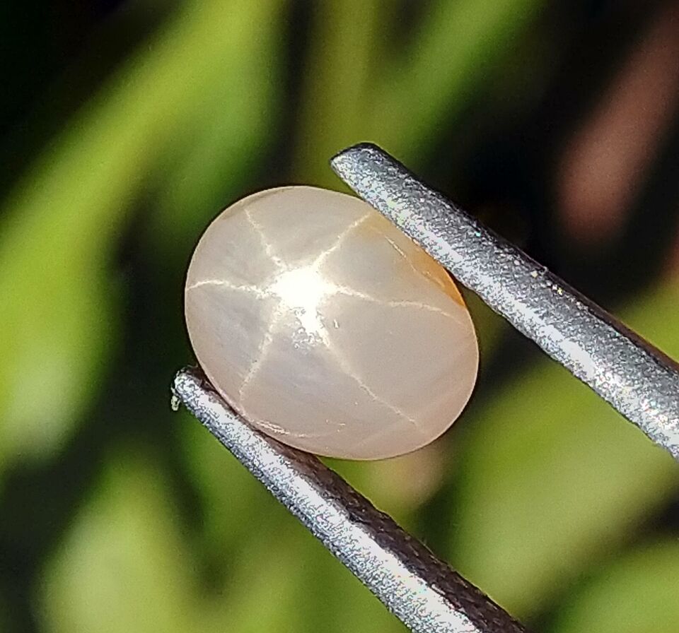 Star Sapphire 1.25ct Natural Stone Sri-Lanka.