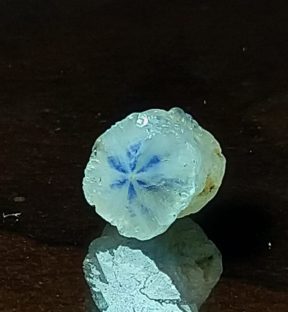 Trapiche Sapphire 1.98ct Rare Stone Sri-Lanka.