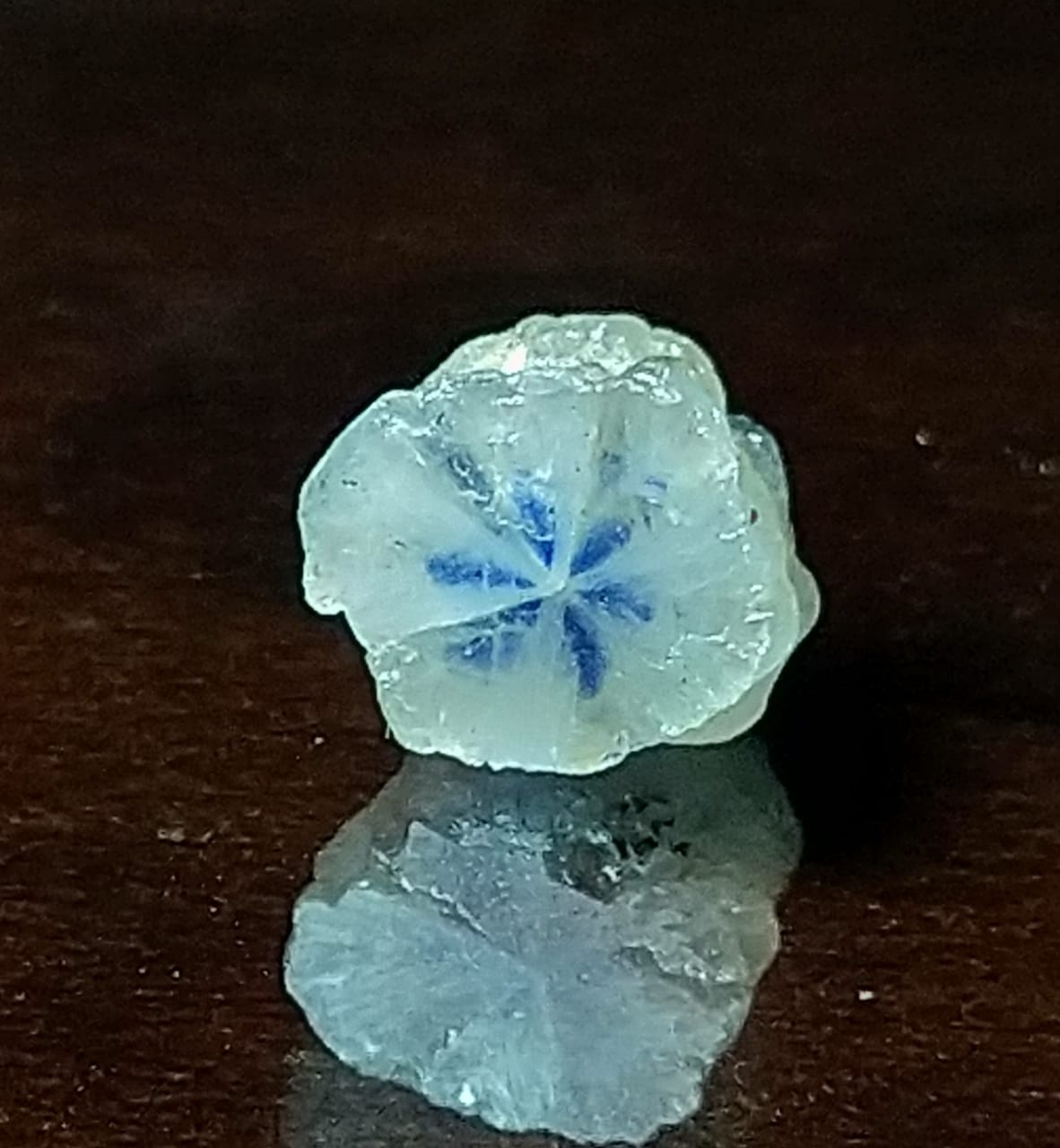 Trapiche Sapphire 1.98ct Rare Stone Sri-Lanka.