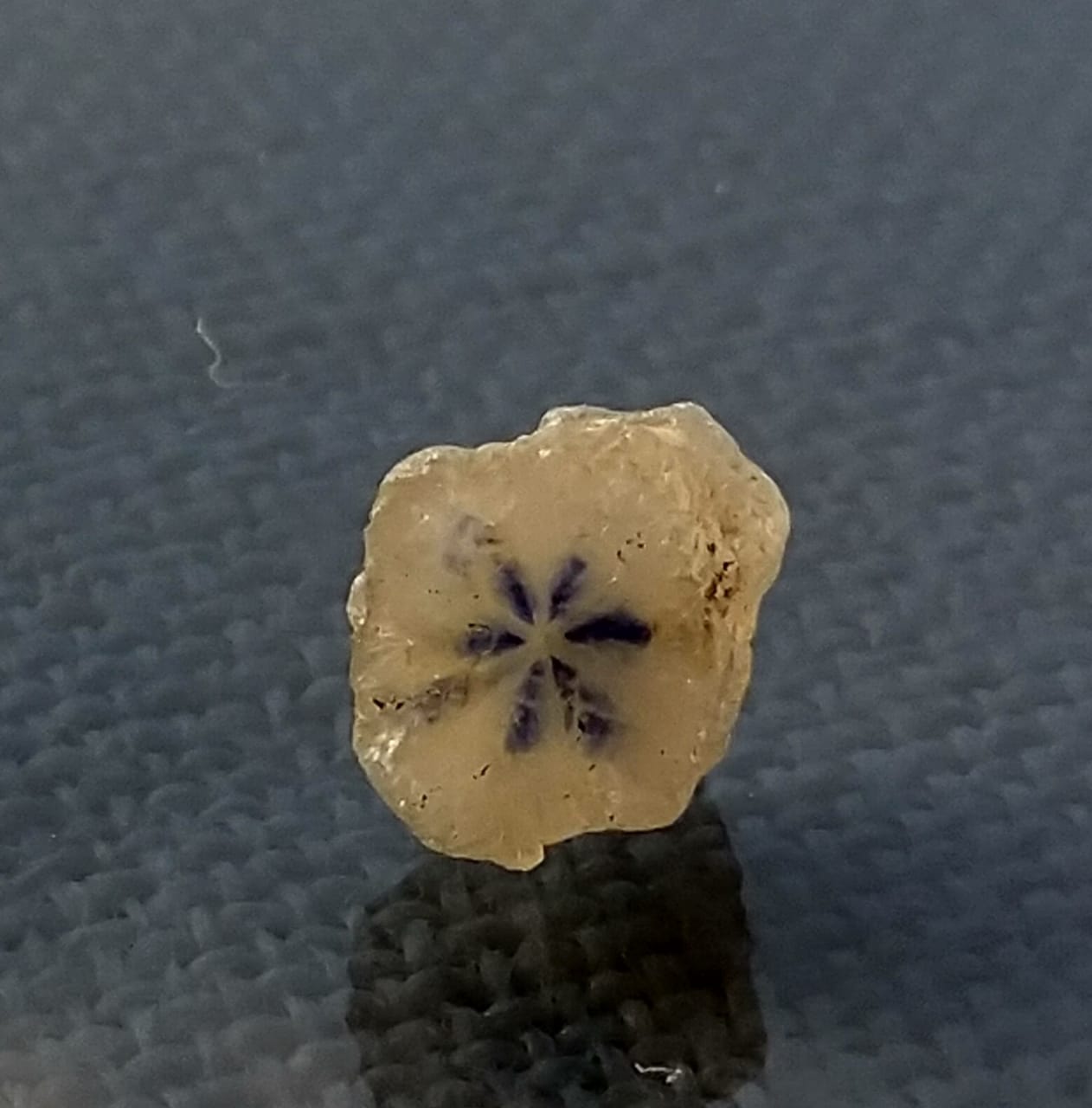 Trapiche Sapphire 1.98ct Rare Stone Sri-Lanka.