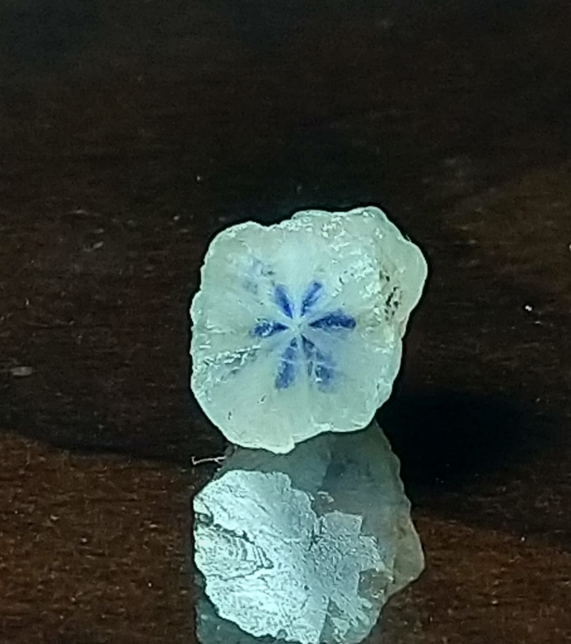 Trapiche Sapphire 1.98ct Rare Stone Sri-Lanka.