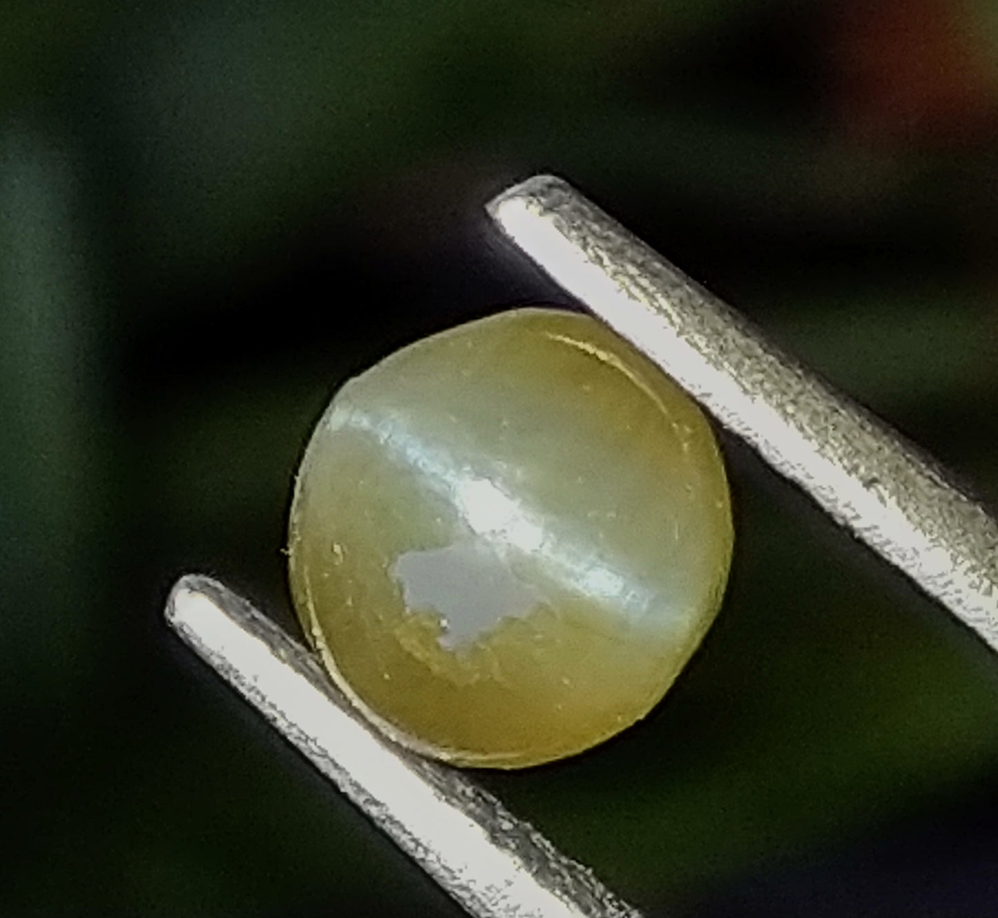 Natural Chrysoberyl Cat's Eye 1.25ct Stone-Promotional Price