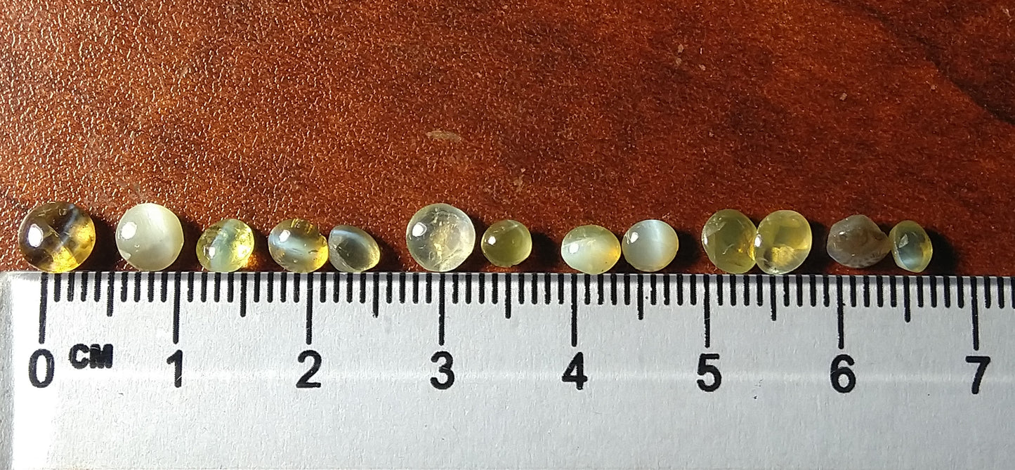 Natural Chrysoberyl Cat's Eye 7.25ct-13pcs ( Wholesale Price ) Lot.