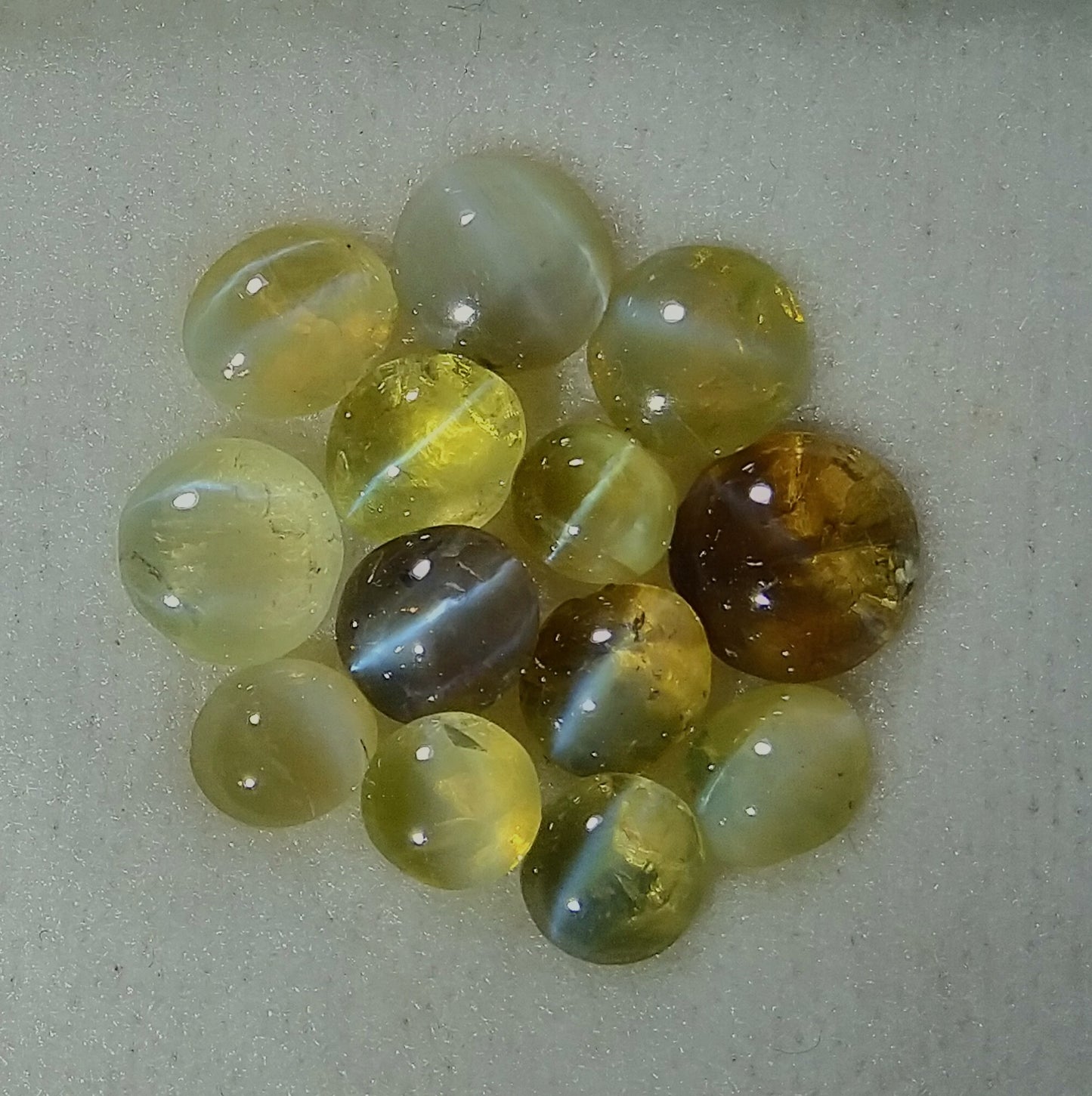 Natural Chrysoberyl Cat's Eye 7.25ct-13pcs ( Wholesale Price ) Lot.