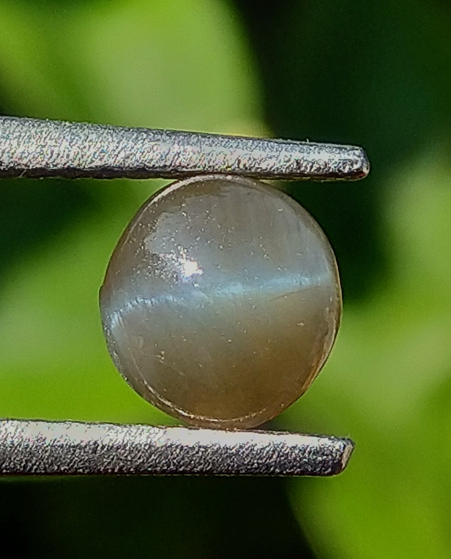 Natural Chrysoberyl Cat's Eye 1.25ct Stone-Promotional Price